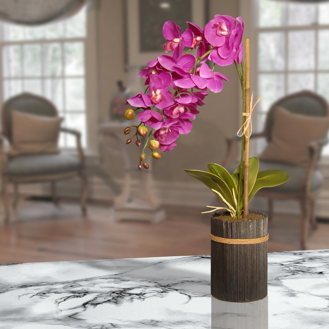23" Potted Purple Orchid