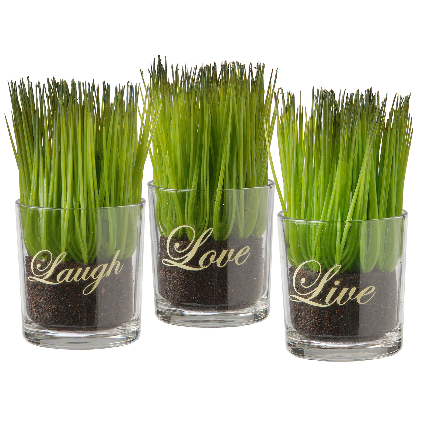 6 in. Artificial Plant Sprouts in Soil, Live, Laugh, Love Set in a Glass Cup, Set of 3 - National Tree Company