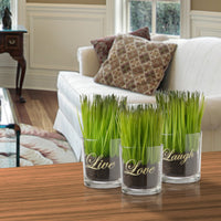 6 in. Artificial Plant Sprouts in Soil, Live, Laugh, Love Set in a Glass Cup, Set of 3 - National Tree Company