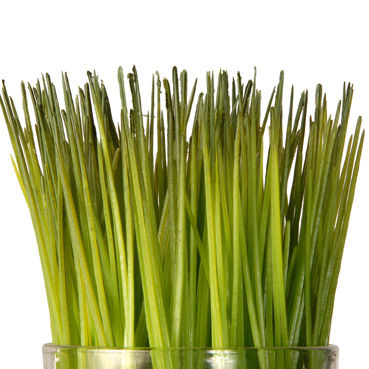 6 in. Artificial Plant Sprouts in Soil, Live, Laugh, Love Set in a Glass Cup, Set of 3 - National Tree Company