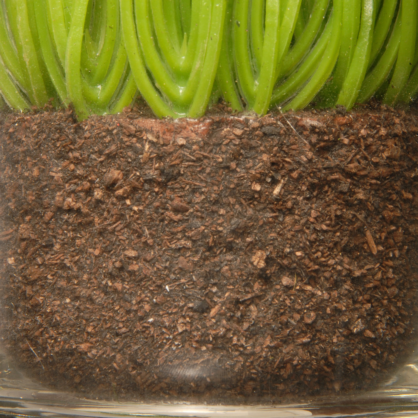 6 in. Artificial Plant Sprouts in Soil, Live, Laugh, Love Set in a Glass Cup, Set of 3 - National Tree Company