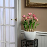 Artificial Potted Plant, Pink Tulips, Decorated with Vibrant Green Stems, Includes Stylish Ceramic Pot Base, Spring Collection, 18 Inches - National Tree Company