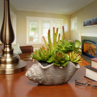 11 in. Spring Potted Plant with Various Green and Orange Succulents in a Stylish Conch Shell Cement Pot - National Tree Company