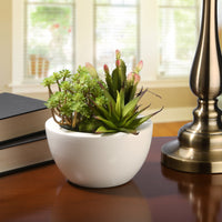 8 in. Spring Potted Plant with Various Green Succulents in a Stylish White Ceramic Base - National Tree Company