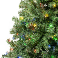 6 ft. Pre-Lit Sagamore Tree with Multi LED Lights - National Tree Company