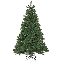 6 ft. Sagamore Tree - National Tree Company