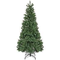 6 ft. Sagamore Slim Tree - National Tree Company