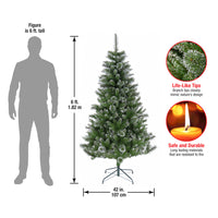 6 ft. Snowy Sierra Spruce Tre - National Tree Company