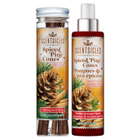 Scentsicles 6pc Stick and Spray Spiced Pine Cones - 2 Pack - National Tree Company