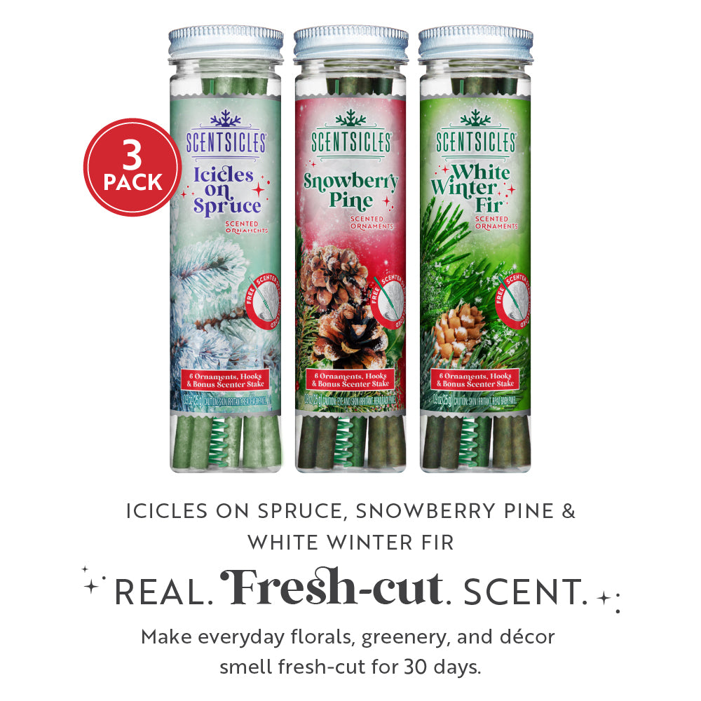 Scentsicles, Scented Ornament 6pc Stick, White Winter Fir, Snowberry Pine and Icicles on Spruce Sticks - 3 Pack - National Tree Company