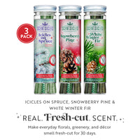 Scentsicles, Scented Ornament 6pc Stick, White Winter Fir, Snowberry Pine and Icicles on Spruce Sticks - 3 Pack - National Tree Company