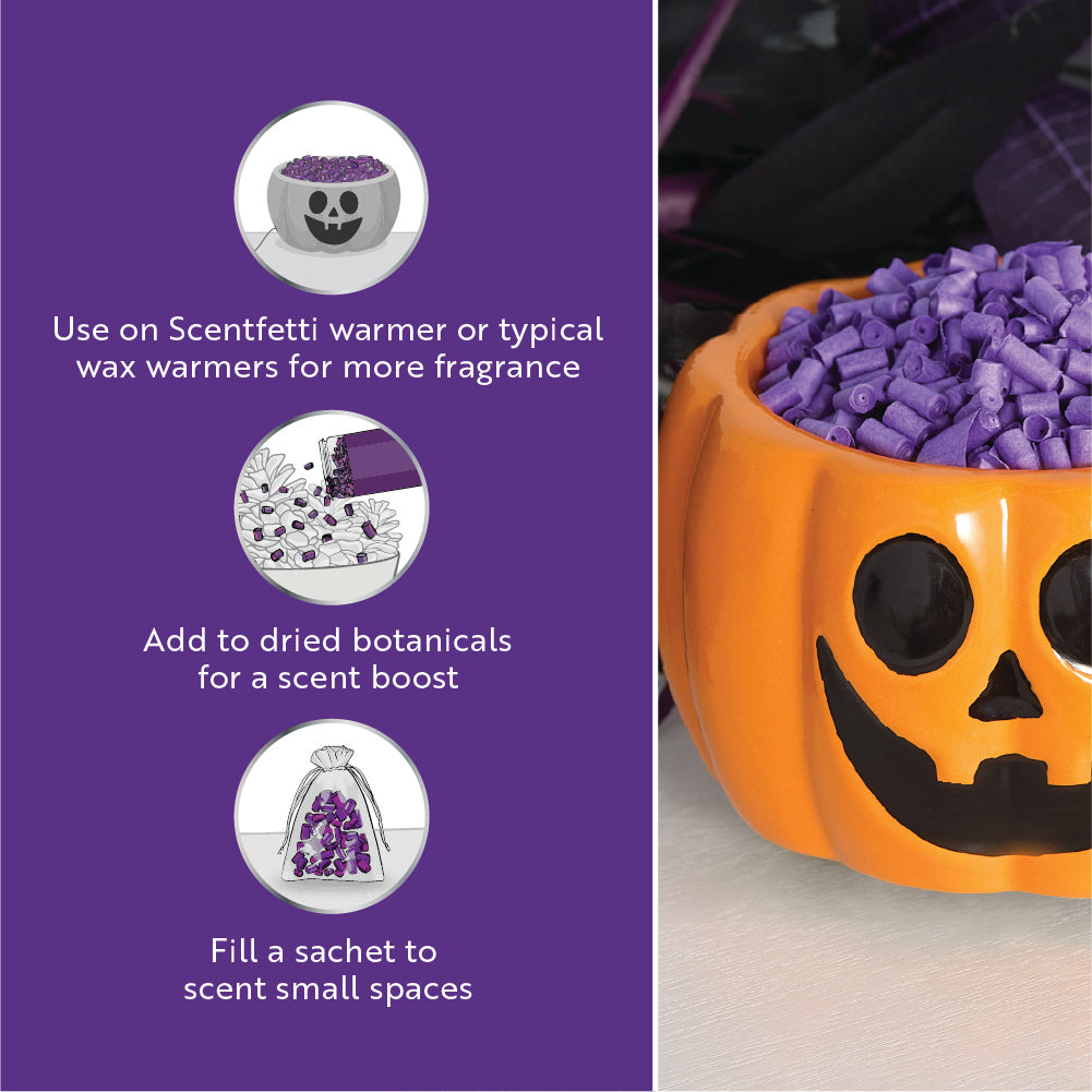 Scentiscles, Pumpkin Warmer/ Scentfetti Witch's Berry Brew & Pumpkin 'n Cider- 3 pack - National Tree Company