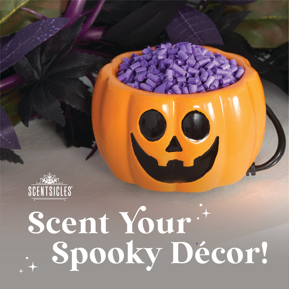 Scentiscles, Pumpkin Warmer/ Scentfetti Witch's Berry Brew & Pumpkin 'n Cider- 3 pack - National Tree Company