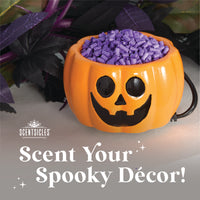 Scentiscles, Pumpkin Warmer/ Scentfetti Witch's Berry Brew & Pumpkin 'n Cider- 3 pack - National Tree Company