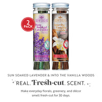 Scentsicles, 6pc Stick, 1 Sun-Soaked Lavender/1 Into the Vanilla Woods-  2 pack - National Tree Company
