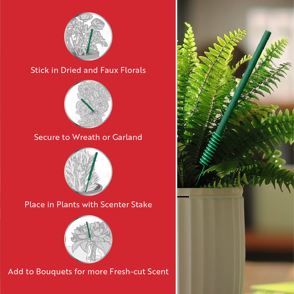 Scentsicles, 6pc Stick, 1 Sun-Soaked Lavender/1 Into the Vanilla Woods-  2 pack - National Tree Company