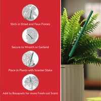 Scentsicles, 6pc Stick, 1 Sun-Soaked Lavender/1 Into the Vanilla Woods-  2 pack - National Tree Company