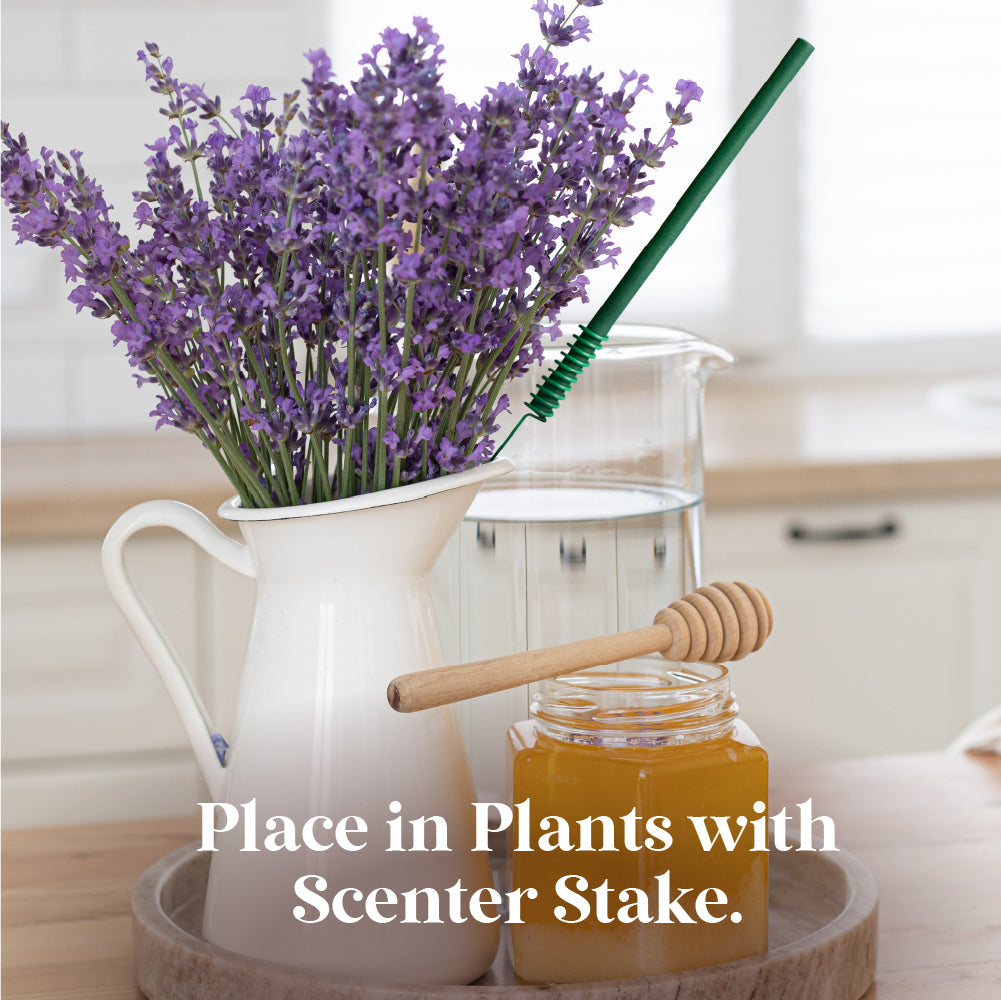 Scentsicles, 6pc Stick, 1 Sun-Soaked Lavender/1 Into the Vanilla Woods-  2 pack - National Tree Company