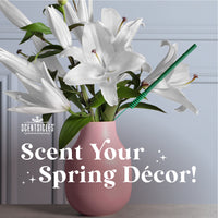 Scentsicles, 6pc Stick, 1 Sun-Soaked Lavender/1 Into the Vanilla Woods-  2 pack - National Tree Company