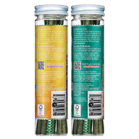 Scentsicles, 6pc Stick, 1 Sun-Soaked Lavender/1 Honeysuckle Rose- 2 pack - National Tree Company