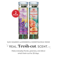 Scentsicles, 6pc Stick, 1 Sun-Soaked Lavender/1 Honeysuckle Rose- 2 pack - National Tree Company