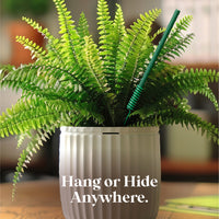 Scentsicles, 6pc Stick, 1 Sun-Soaked Lavender/1 Honeysuckle Rose- 2 pack - National Tree Company
