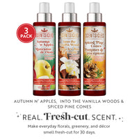 Scentsicles, Scent Mister, 1 Into the Vanilla Woods/1 Autumn 'n Apples/ 1 Spiced Pine Cones- 3 pack - National Tree Company