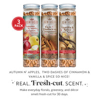 Scentsicles, Scentfetti, 1 Autumn 'n Apples/1 Two Dashes of Cinnamon /1 Vanilla & Spice, So Nice! 3 pack - National Tree Company