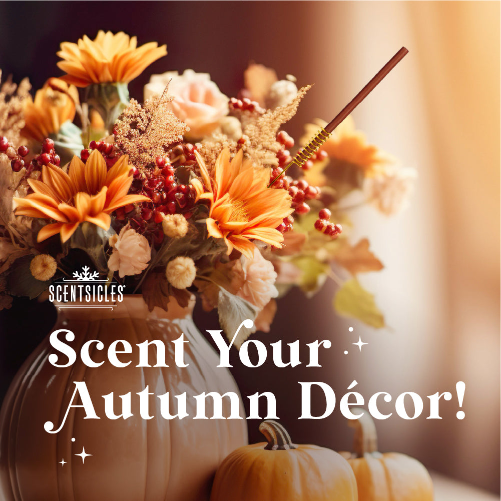 Scentsicles, Scentfetti, 1 Autumn 'n Apples/1 Two Dashes of Cinnamon /1 Vanilla & Spice, So Nice! 3 pack - National Tree Company