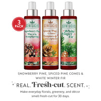 Scentsicles, Scent Mister 1 White Winter Fir/ 1 Snowberry Pine/1 Spiced Pine Cones- 3 pack - National Tree Company