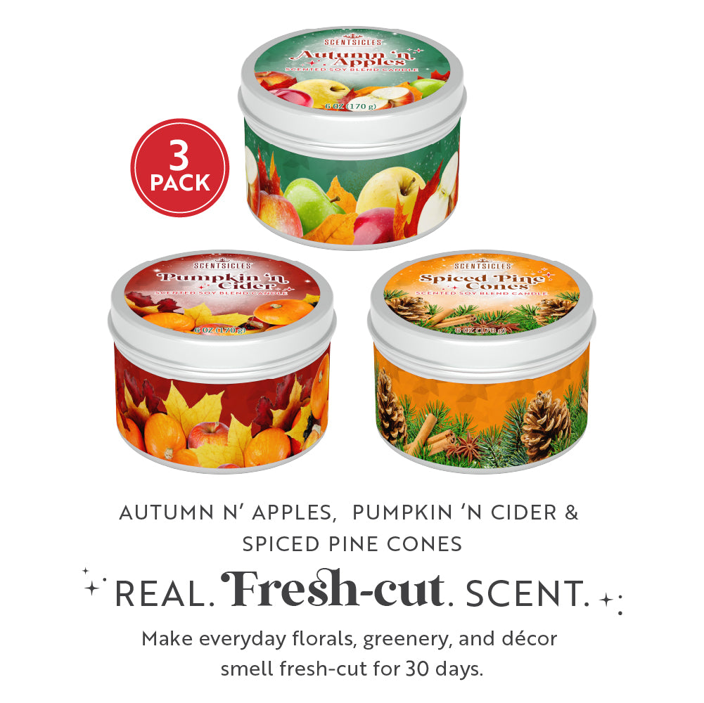 Scentsicles, Candles, 1 Apples 'n Apples/1 Pumpkin 'n Cider/1 Spiced Pine Cones-3 pack - National Tree Company