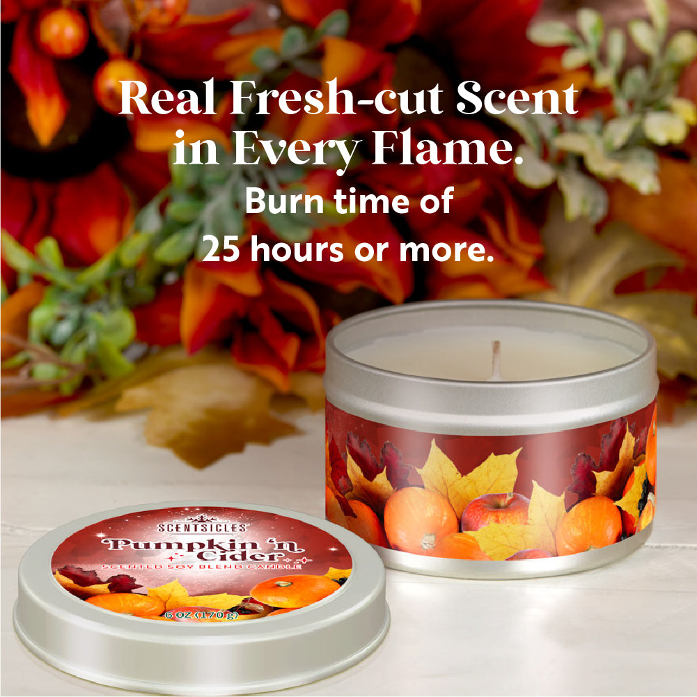 Scentsicles, Candles, 1 Apples 'n Apples/1 Pumpkin 'n Cider/1 Spiced Pine Cones-3 pack - National Tree Company