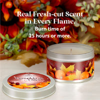 Scentsicles, Candles, 1 Apples 'n Apples/1 Pumpkin 'n Cider/1 Spiced Pine Cones-3 pack - National Tree Company