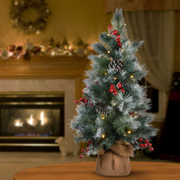 3 ft. Pre-Lit Snowy Glacier Pine Tree with LED Lights - National Tree Company