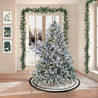 6.5 ft. Pre-Lit Snowy Hudson Tree with  PowerConnect Dual Color LED Lights - National Tree Company