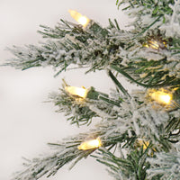 9 ft. Pre-Lit Snowy Harwich Hinged Tree with PowerConnect Warm White LED Lights, Plug-In - National Tree Company