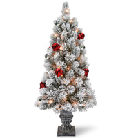 4 ft. Pre-Lit Snowy Bristle Pine Tree with Clear Lights - National Tree Company