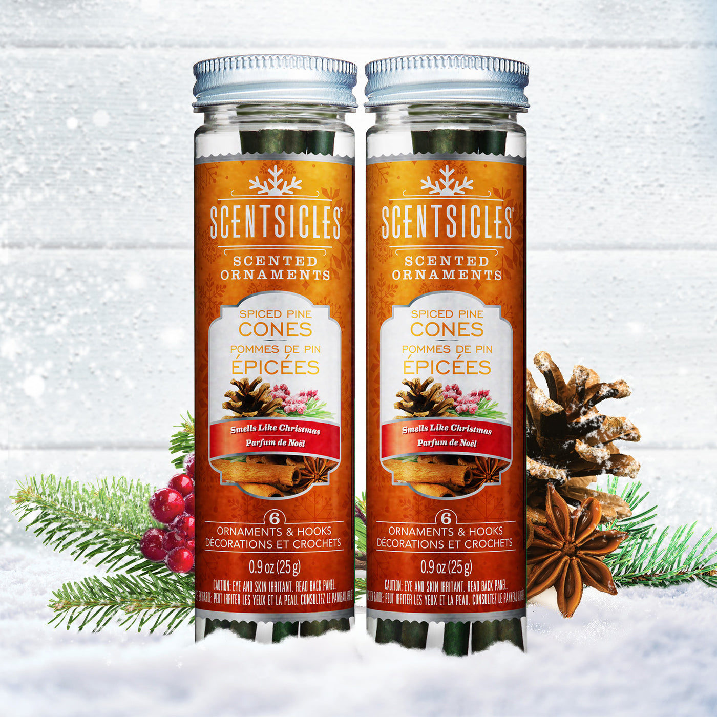 Scented Ornaments, 2-Pack-  6ct Bottle, Spiced Pine Cones, Fragrance-Infused Paper Sticks - National Tree Company