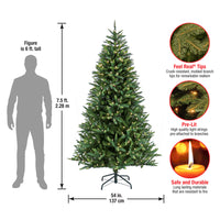 7.5 ft. Pre-Lit Spada Pine Tree with LED Lights, Plug-In - National Tree Company