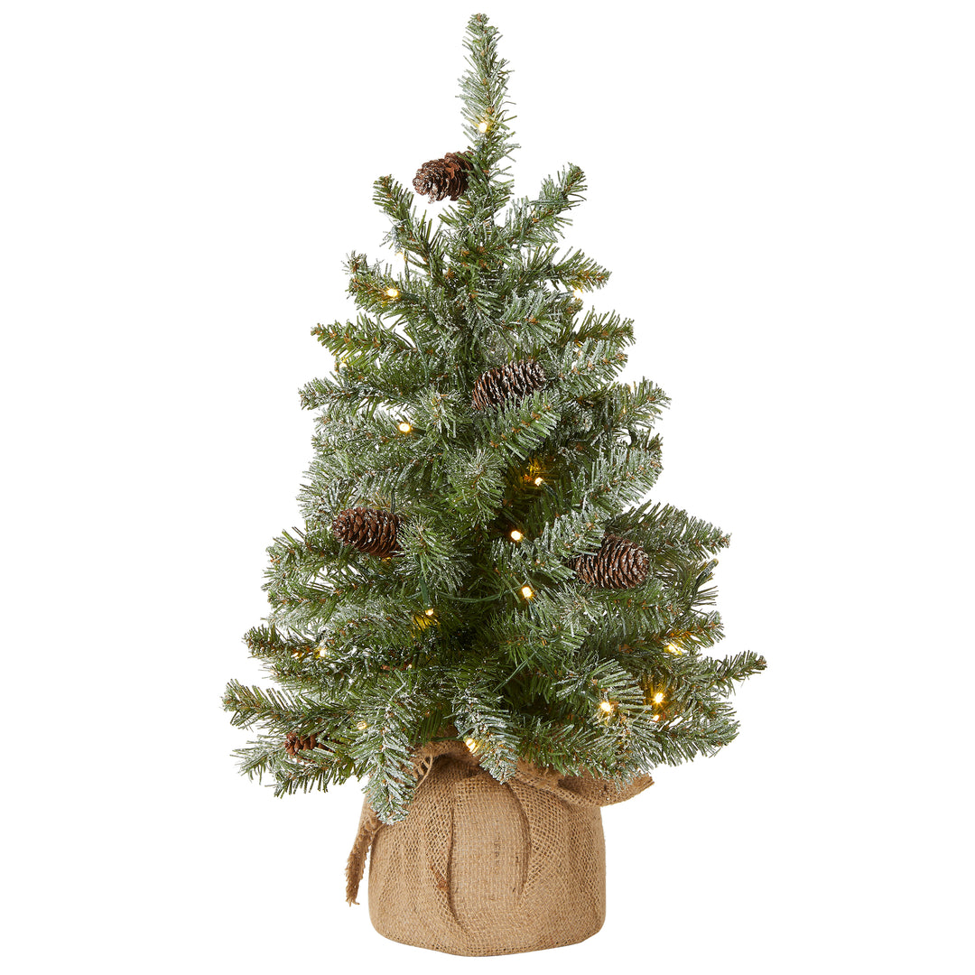 National Tree Company Pre-Lit Artificial Christmas Tree, Green, Snowy Concolor, White LED Lights, Decorated with Pine Cones, Includes Cloth Bag Base, Battery Operated, 24 Inches