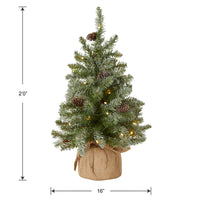 2 ft. Pre-Lit Snowy Concolor Fir Tree with LED Lights - National Tree Company