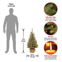 3 ft. Pre-Lit Snowy Concolor Fir Tree with LED Lights - National Tree Company