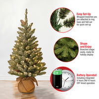 3 ft. Pre-Lit Snowy Concolor Fir Tree with LED Lights - National Tree Company