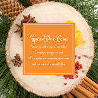 Scented Ornaments, 2-Pack-  6ct Bottle, Spiced Pine Cones, Fragrance-Infused Paper Sticks - National Tree Company