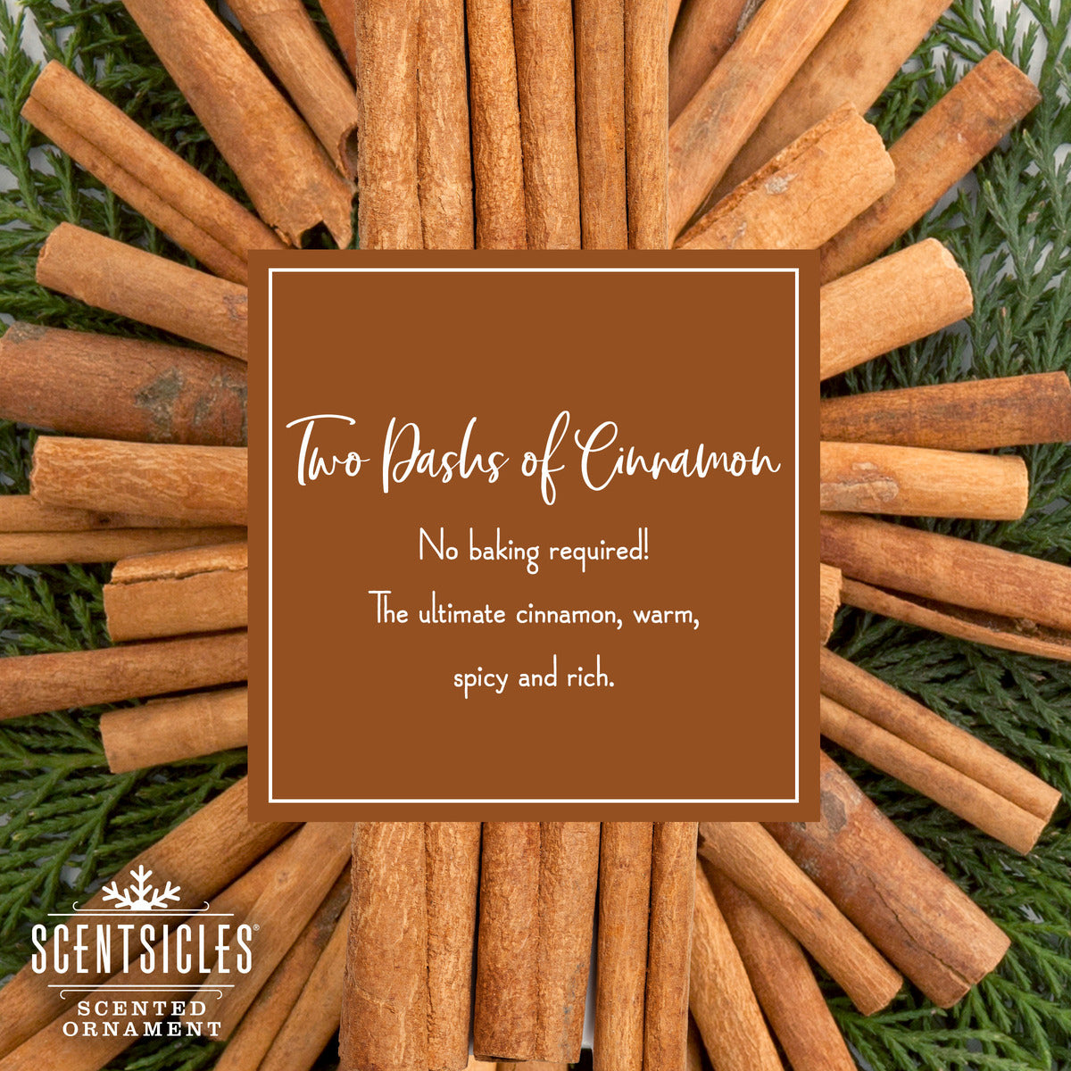 Scented Ornaments, 2-Pack- 6ct Bottle, 2 Dashes of Cinnamon, Fragrance-Infused Paper Sticks - National Tree Company