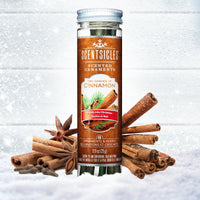 Scented Ornaments, 2-Pack- 6ct Bottle, 2 Dashes of Cinnamon, Fragrance-Infused Paper Sticks - National Tree Company