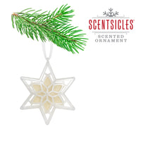 Scentsicles, Scented Star Ornament, White Winter Fir, 2-Pack - National Tree Company