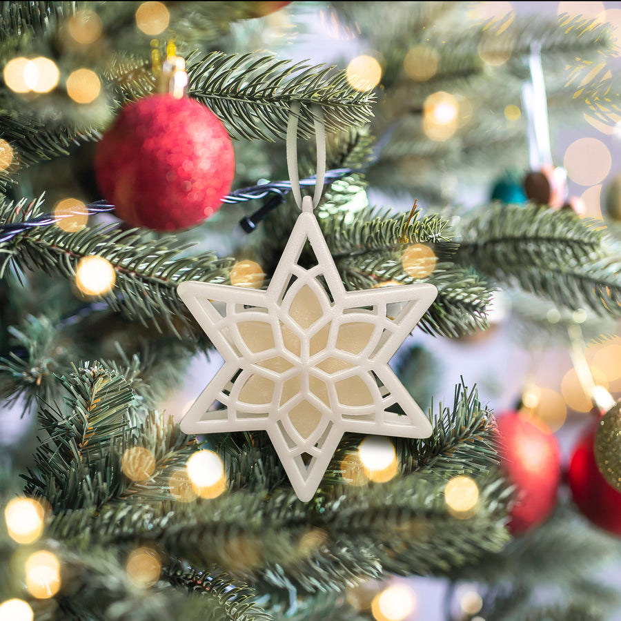 Scentsicles, Scented Star Ornament, White Winter Fir, 2-Pack