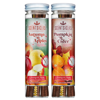 Scentsicles, 6pc Stick, Autumn 'n  Apples & Pumpkin 'n Cider- 2 Pack - National Tree Company