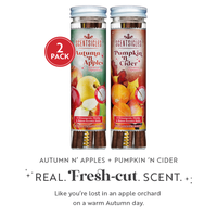 Scentsicles, 6pc Stick, Autumn 'n  Apples & Pumpkin 'n Cider- 2 Pack - National Tree Company